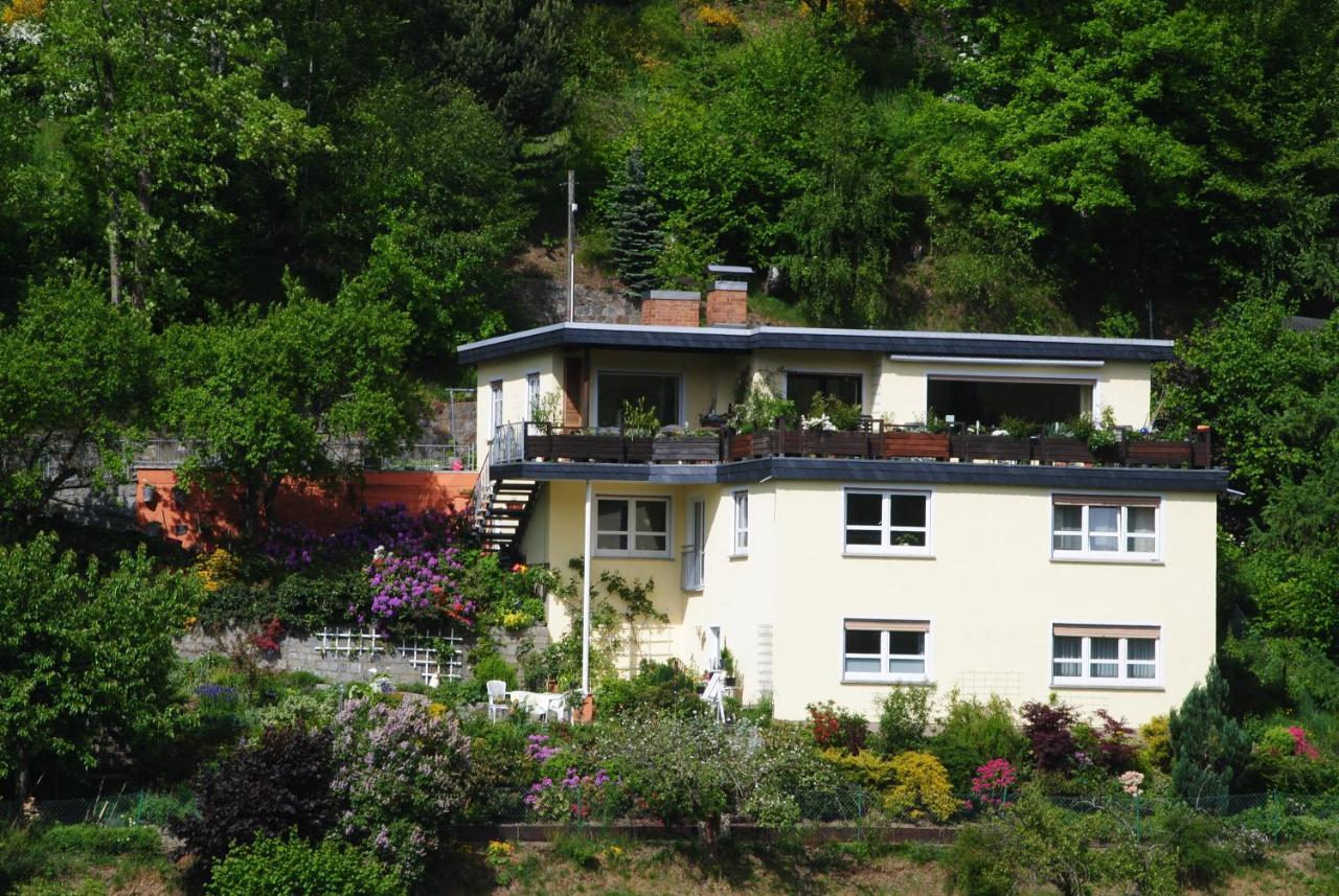 Ferienwohnung Haus Am Sommerberg Ludwigsstadt Exterior foto